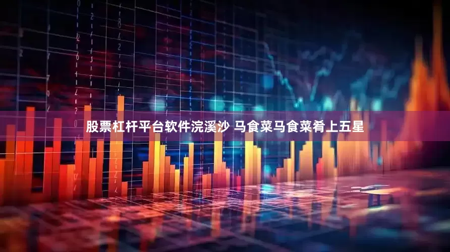 股票杠杆平台软件浣溪沙 马食菜马食菜肴上五星